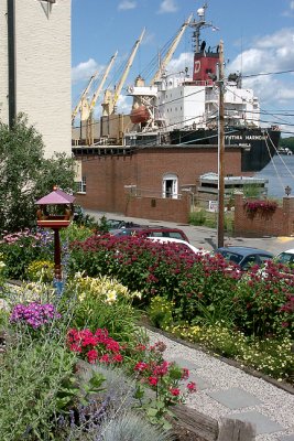 SUB-GALLERY: Market Street Pocket Garden