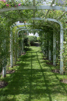 Arbor, Mid-Point Looking to House