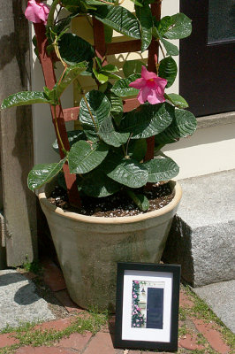 Pot at Entrance