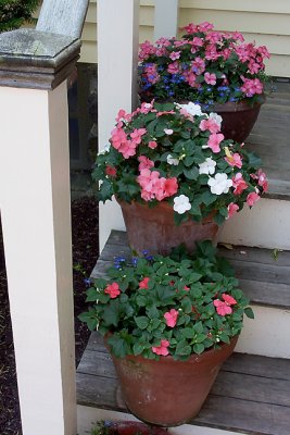 Pots on Steps