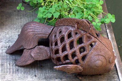 Rusty Carp