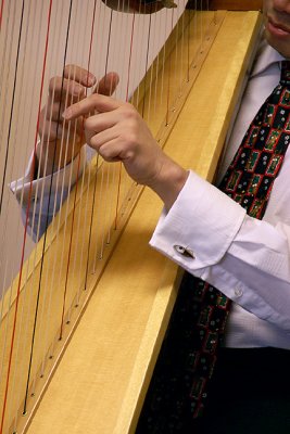 Raymond with Harp, Detail