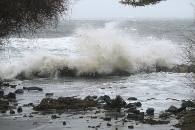 End of Ocean Street