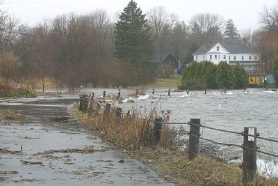 River Road, Flooded