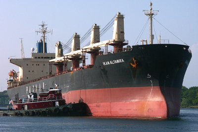Ikan Altamira, salt ship, turning