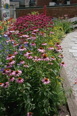 Pocket Garden, Flower Beds
