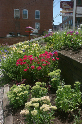 SUB-GALLERY: Market Street Pocket Garden