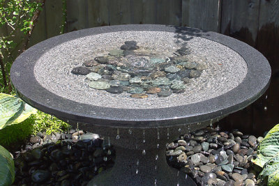 Birdbath