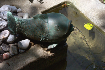 Carp Fountain