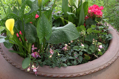 Urn with mixed flowers
