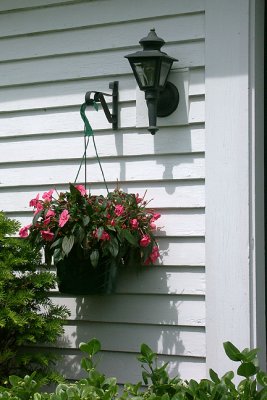Planter, in transit