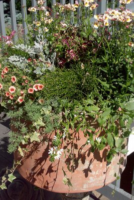 Clay Pot with Flowers