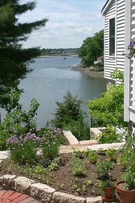 View from Garden
