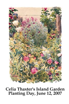 Celia Thaxter's Island Garden, Planting 2007