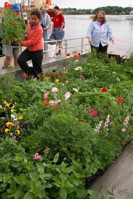Loading Plants on the Heiser