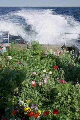 Voyage Out Aboard the Heiser