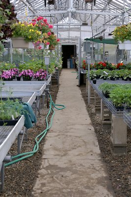 UNH Greenhouse Interior
