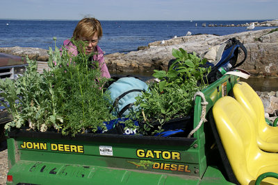 Loading the Gator