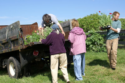 Offloading Truck at the Garden