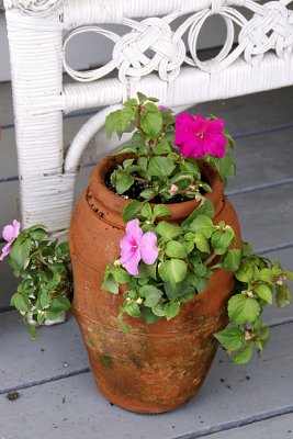 Clay Pot