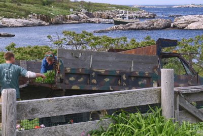 Offlloading Truck, Babbs Cove Backdrop