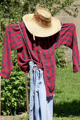 SUB-GALLERY: Scarecrows