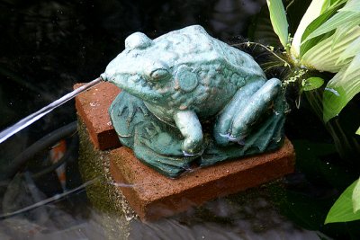 Frog Fountain in Pond