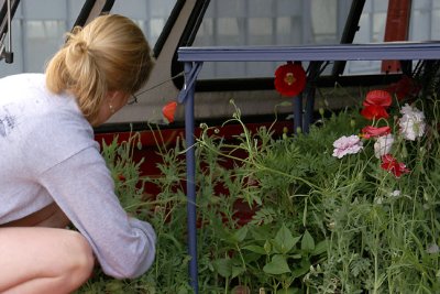 Pam Boutilier Loading Truck at UNH Greenhouses