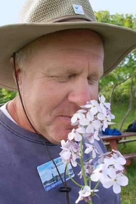 Tom Davis Smells the Flowers (Hesperis)