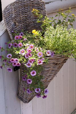 Basket Planter on Fence
