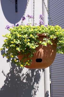 Hanging Pots and Shadows