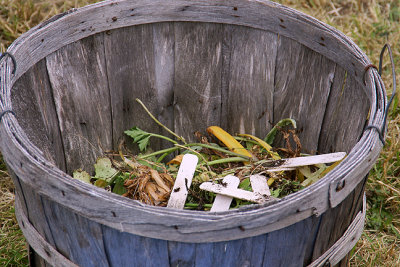 Planting Waste