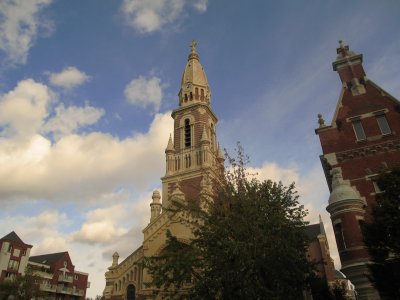 Church -  City Hall and Trees     - Nov. 19  2006