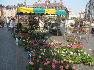 Le March aux Fleurs de Lille - 010.jpg