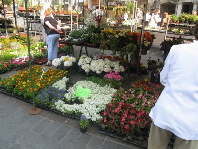 Le March aux Fleurs de Lille - 012.jpg