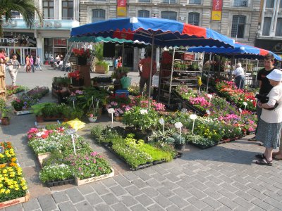 Le March aux Fleurs de Lille - 019.jpg