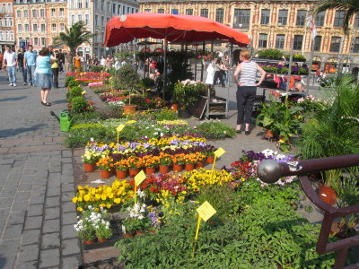 Le March aux Fleurs de Lille - 020.jpg