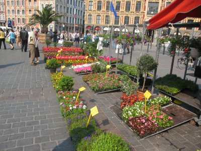 Le March aux Fleurs de Lille - 022.jpg