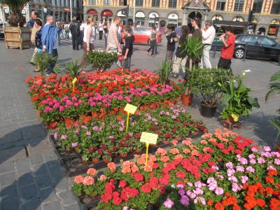 Le March aux Fleurs de Lille - 023.jpg