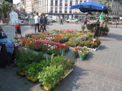 Le March aux Fleurs de Lille - 026.jpg