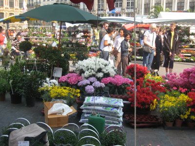 Le March aux Fleurs de Lille - 029.jpg