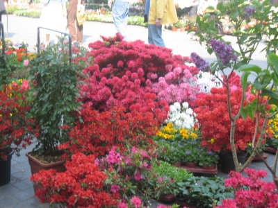 Le Marché aux Fleurs de Lille - 033.jpg