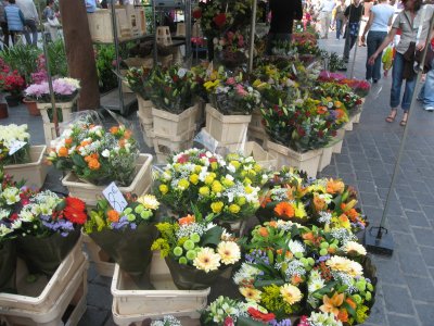 Le March aux Fleurs de Lille - 037.jpg