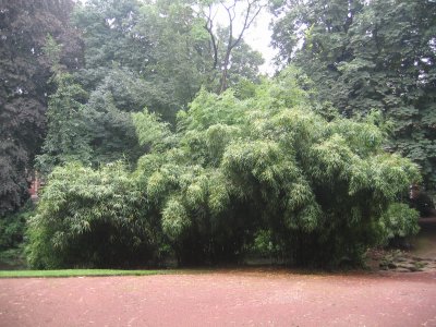 Le Parc Vauban