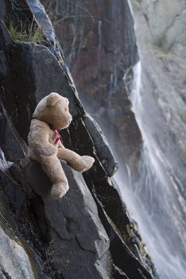I'm the intrepid climbing bear!