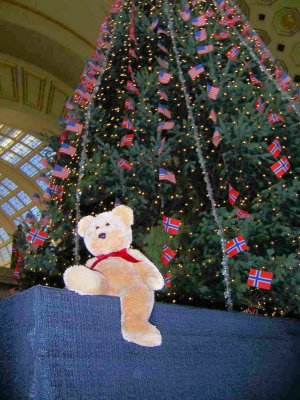 Norway Christmas Tree 