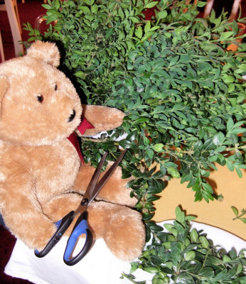 I'm helping to prepare the little branches of myrtle...