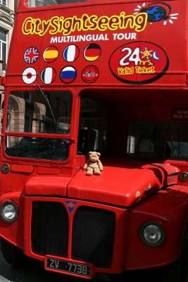 Sight Seeing Bus