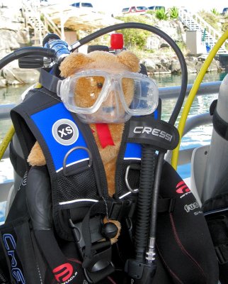 Scuba Frimpong