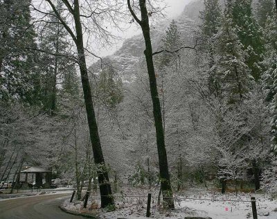 View from the Ahwahnee auto entrance